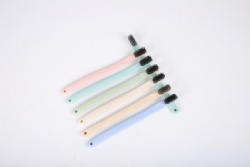 hotel disposable toothbrush